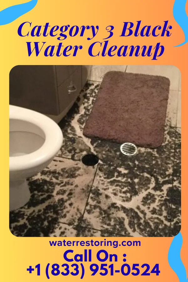 Category 3 Black Water Cleanup in Peoria, OR