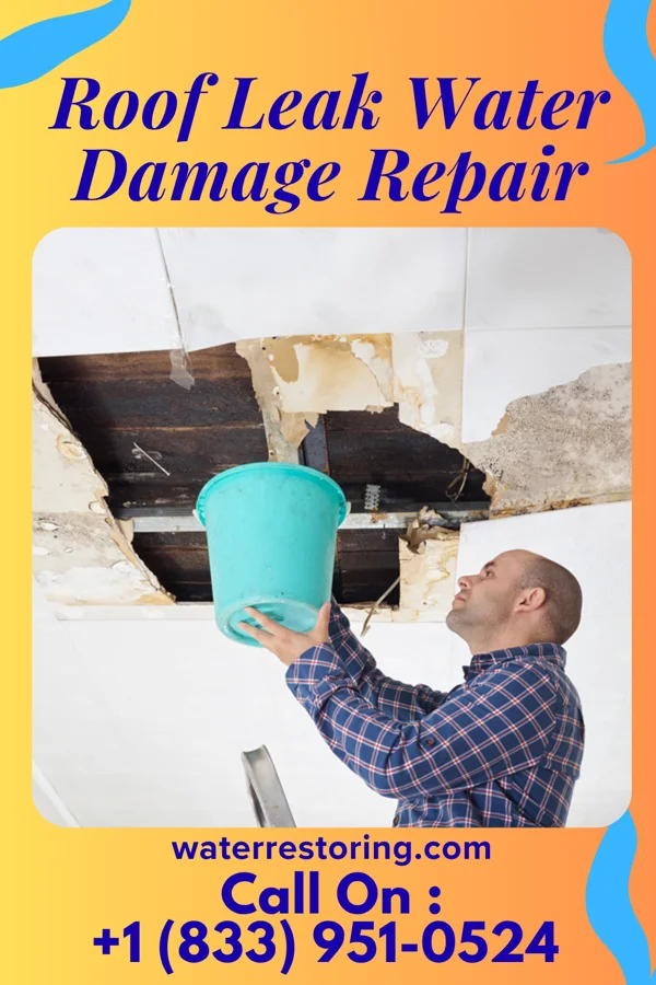 Roof Leak Water Damage Repair in Peoria, OR